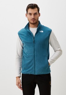 Жилет утепленный The North Face