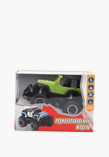 Игрушка радиоуправляемая 1Toy