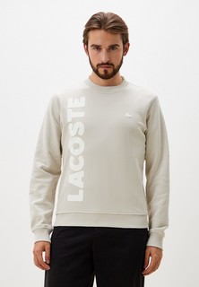Свитшот Lacoste