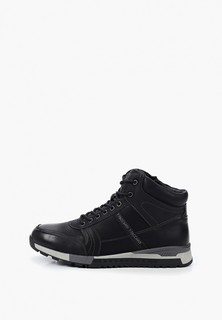 Кроссовки T.Taccardi