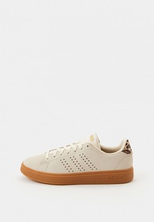 Кеды adidas