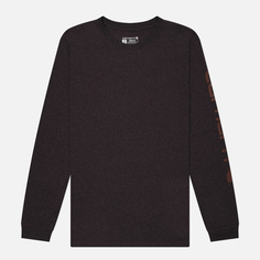 Женский лонгслив Carhartt Loose Fit Heavyweight Logo Sleeve Graphic, цвет фиолетовый, размер XS