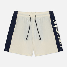 Мужские шорты Aquascutum Beach Logo Volley, цвет бежевый, размер S