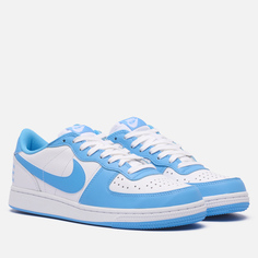 Мужские кроссовки Nike Terminator Low, цвет голубой, размер 40 EU