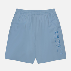 Мужские шорты Carhartt WIP Brame Swim, цвет зелёный, размер S