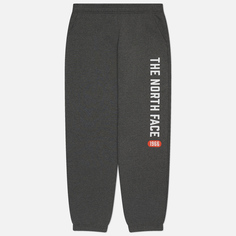 Мужские брюки The North Face Varsity Graphic, цвет серый, размер S