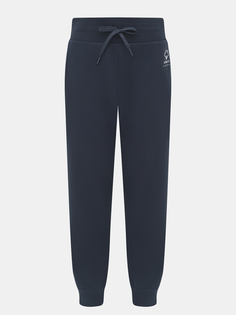 Спортивные брюки Emporio Armani