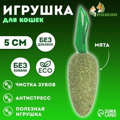 Игрушка для кошек из кошачьей мяты Пижон