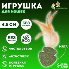 Игрушка для кошек из прессованной кошачьей мяты Пижон