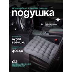 Подушка автомобильная на сидение Bio-Line, 40x40, ортопедическая массажная , с лузгой гречихи и ПВХ нанесением