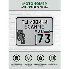 Сувенирный номер на мопед мото велосипед металлический рельефный светоотражающий с вашим регионом и изображением 190*145 мм Ретрознак