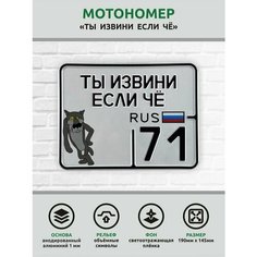 Сувенирный номер на мопед мото велосипед металлический рельефный светоотражающий с вашим регионом и изображением 190*145 мм Ретрознак