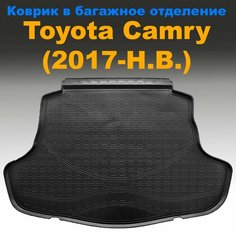 Коврик в багажник для Toyota Camry (XV70) (2017-) NPL пластик Sei Ntex