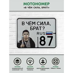 Сувенирный номер на мопед мото велосипед металлический рельефный светоотражающий с вашим регионом и изображением 190*145 мм Ретрознак