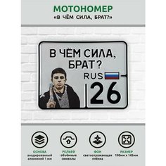 Сувенирный номер на мопед мото велосипед металлический рельефный светоотражающий с вашим регионом и изображением 190*145 мм Ретрознак