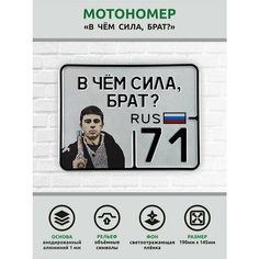 Сувенирный номер на мопед мото велосипед металлический рельефный светоотражающий с вашим регионом и изображением 190*145 мм Ретрознак