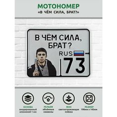 Сувенирный номер на мопед мото велосипед металлический рельефный светоотражающий с вашим регионом и изображением 190*145 мм Ретрознак