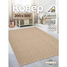 Ковер комнатный на пол 200х300 безворсовый на кухню Homeses