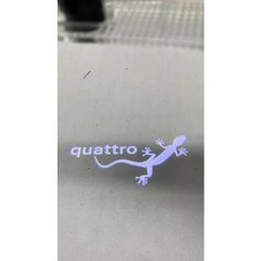Штатная подсветка дверей для Audi quattro (2шт) Shadowlight
