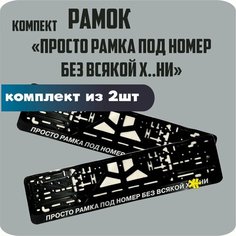 Рамки для номеров автомобиля "Просто рамка под номер без всякой х. и" 2шт. Нет бренда