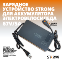 Зарядное устройство Strong 60V/5A для аккумулятора электровелосипеда разъём (мама) Без бренда