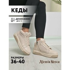 Кеды Alessio Nesca, полнота G (EU)/ на среднюю и широкую стопу, размер 40, светло-бежевый