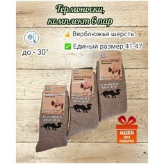 Носки Весна-Хороша, комплект, 6 пар, размер 41-47, песочный