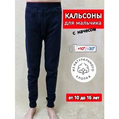 Термобелье низ 16 лет, размер 95, синий Wenhi