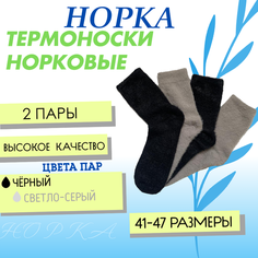 Носки Фенна, комплект, 2 пары, размер 41-47, серебряный, черный