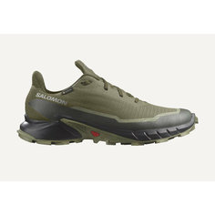 Кроссовки Salomon ALPHACROSS 5 GTX, полнота F (EU)/ на среднюю стопу, размер RU 45.5 UK 11.5 USm 12 СМ 29.5, зеленый