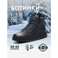Ботинки T.Taccardi, размер 42, темно-синий