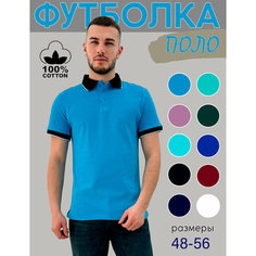 Поло Zobi, размер XXL, VR003 - светло-голубой