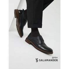 Полуботинки дерби Salamander, размер 45, темно-синий