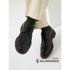 Полуботинки дерби Salamander, размер 41, черный