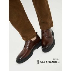 Полуботинки дерби Salamander, размер 39, коричневый