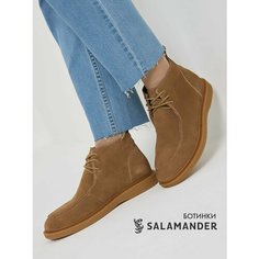 Полуботинки дерби Salamander, размер 36, бежевый