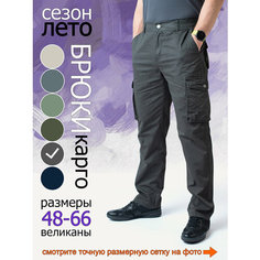Брюки карго RB RB 726|797, размер 4XL, графит