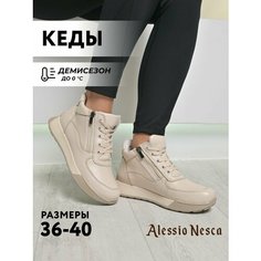 Ботинки Alessio Nesca, размер 40, бежевый