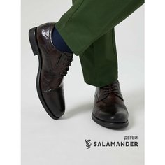 Полуботинки дерби Salamander, размер 39, коричневый