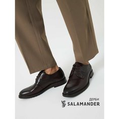 Полуботинки броги Salamander, размер 41, темно-коричневый