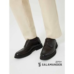 Полуботинки дерби Salamander, размер 39, темно-коричневый
