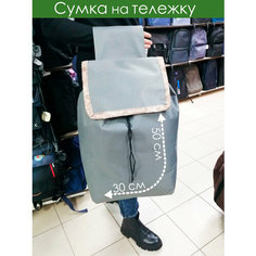 Сумка дорожная ЭваЙКейс, 30 л, 30х50х30 см, ручная кладь, серый