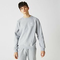 Свитшот LACOSTE, размер T3, , серый