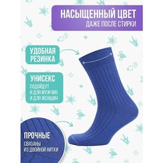 Носки Big Bang Socks рубчик, размер 35-39, синий