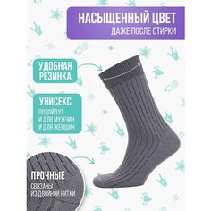 Носки Big Bang Socks рубчик, размер 40-44, серый