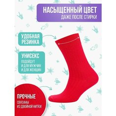 Носки Big Bang Socks рубчик, размер 40-44, красный