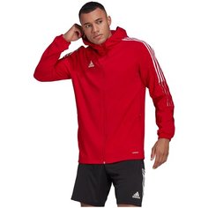 Куртка спортивная adidas, размер S, красный