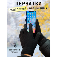 Перчатки Vembir, размер универсальный, черный