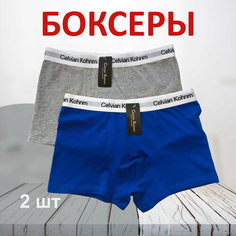 Трусы Celvian Kohnm для мужчин, боксеры мужские,, комплект из 2 шт., размер 2XL, голубой/серый