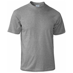 Футболка, размер 56, серый Нет бренда